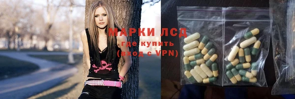 индика Абаза
