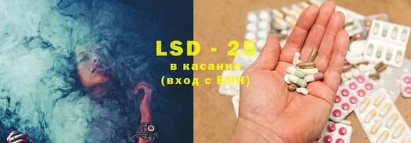 индика Абаза