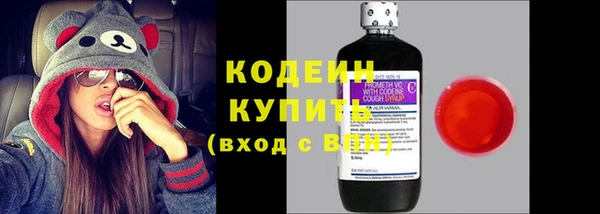 индика Абаза