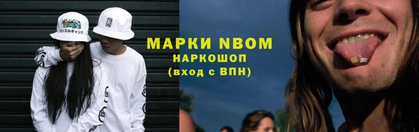 индика Абаза
