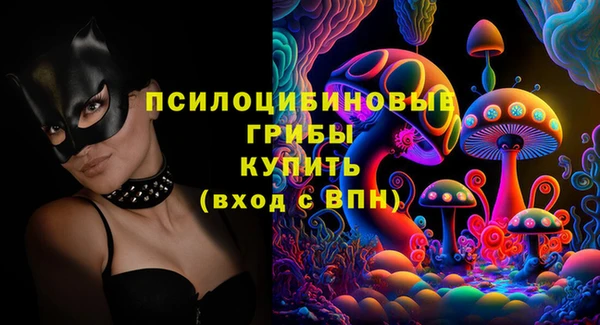 индика Абаза