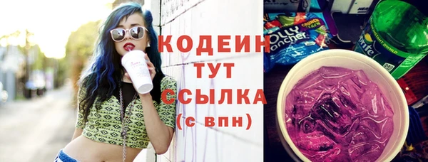 индика Абаза