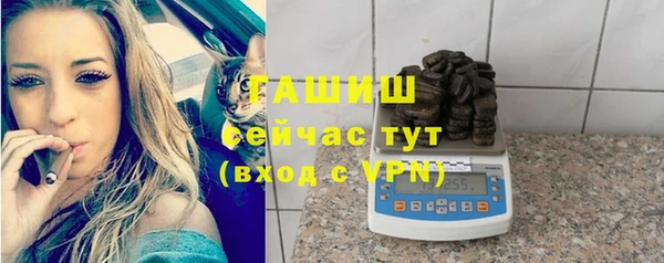 индика Абаза