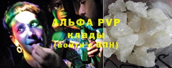 индика Абаза