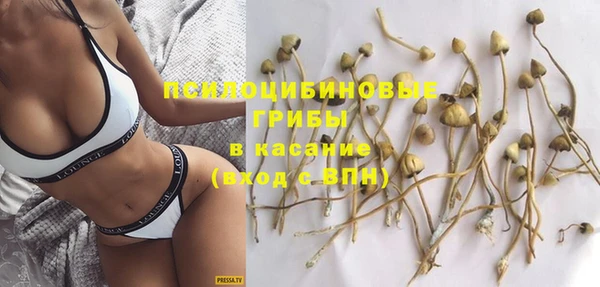 индика Абаза