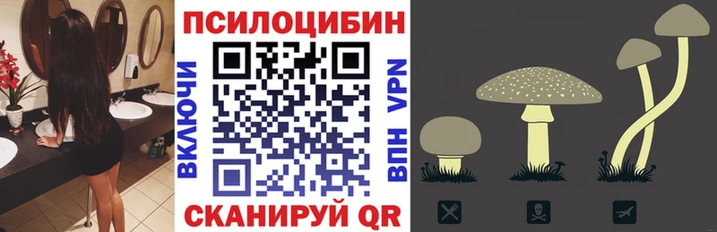 закладки  блэк спрут рабочий сайт  Псилоцибиновые грибы Cubensis  Ужур 